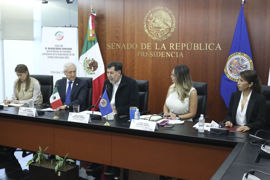 Con los observadores de la OEA