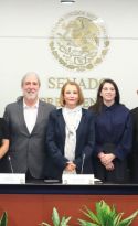 Combate a evasi&oacute;n fiscal