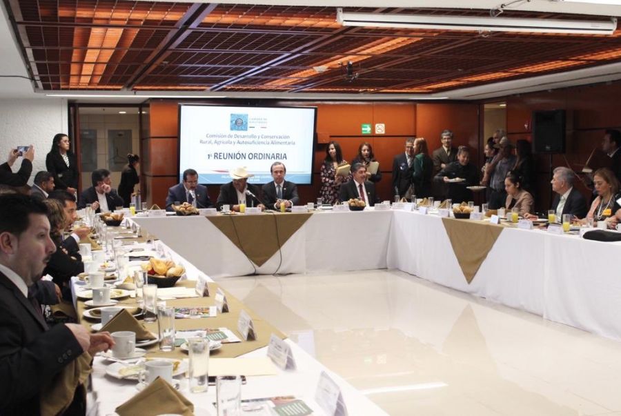 Analizan diputados y el Consejo Nacional Agropecuario posibilidades del sector agroalimentario mexicano