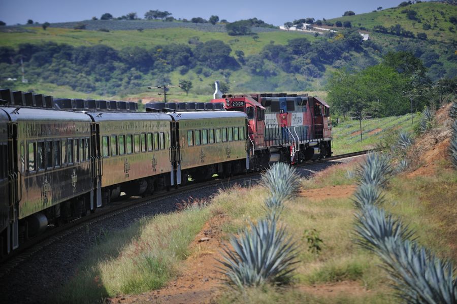 Tren