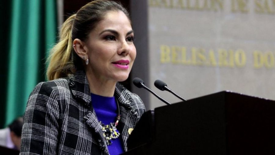 Oposici&oacute;n y sociedad logramos revertir el voluntarismo presidencial: Abril Alcal&aacute; Padilla