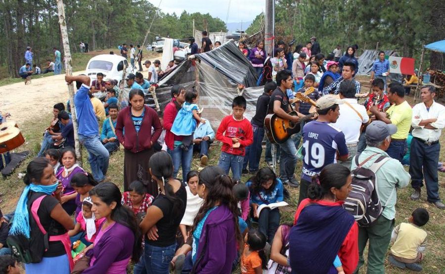 Desplazados por la violencia