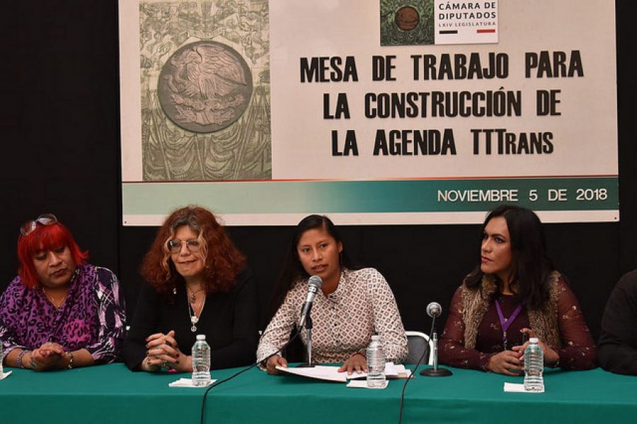 Necesarias pol&iacute;ticas p&uacute;blicas que integren a la comunidad transexual, transg&eacute;nero y travesti